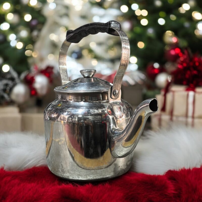 Dhara Tea Time Kettle designed for a perfect tea experience, crafted from premium stainless steel.