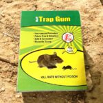 Eco-friendly non-toxic glue trap combo for catching lizards, cockroaches, insects, and rats – safe and reusable pest control for home use.