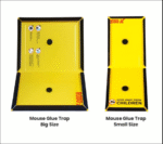 Eco-friendly non-toxic glue trap combo for catching lizards, cockroaches, insects, and rats – safe and reusable pest control for home use.