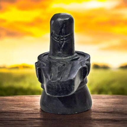 Ruliarams Adiyogi Shivling – Stone of Stillness