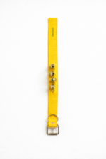 Yellow traditional ghungroo dog collar with four brass bells, designed for Indie and guard dogs, placed on a white background