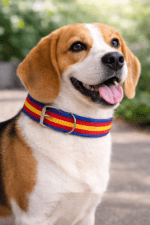 A heavy-duty nylon tricolor dog collar designed for strong medium-to-large dogs, featuring a metal buckle and D-ring for secure leash attachment.