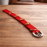 ghungroo dog collar with heavy duty nylon strap and metal bells, worn by Indian indie guard dog for night safety and alert