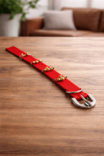 ghungroo dog collar with heavy duty nylon strap and metal bells, worn by Indian indie guard dog for night safety and alert