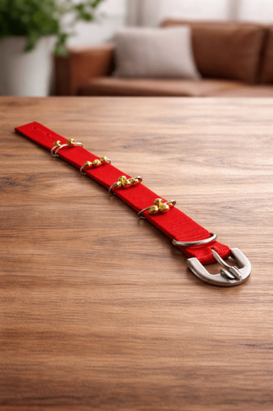 ghungroo dog collar with heavy duty nylon strap and metal bells, worn by Indian indie guard dog for night safety and alert