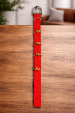 ghungroo dog collar with heavy duty nylon strap and metal bells, worn by Indian indie guard dog for night safety and alert