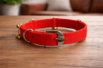 ghungroo dog collar with heavy duty nylon strap and metal bells, worn by Indian indie guard dog for night safety and alert