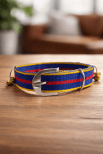 Traditional Ghungroo Dog Collar with four Bells Set Of Two – Desi Safety Collar for Guard, Indie & Temple Dogs - Image 3